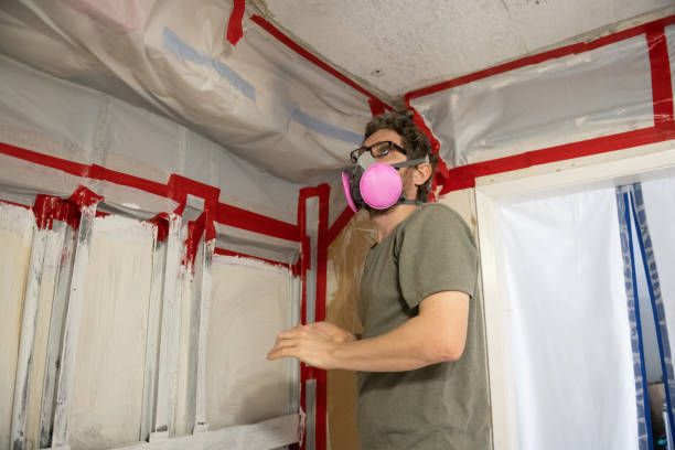 Best Basement Mold Removal  in Pleasant View, UT